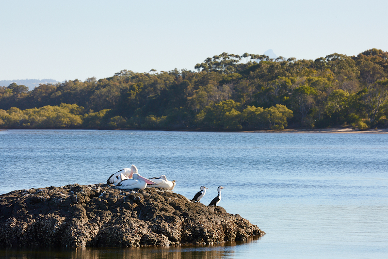 kingscliff waterway