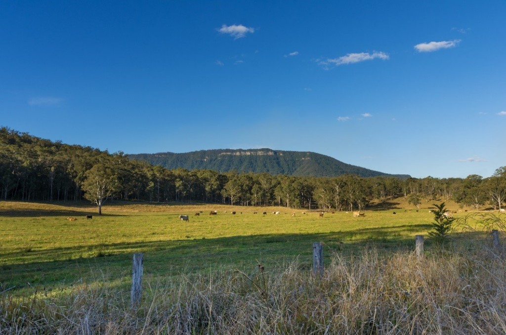 kyogle landscape