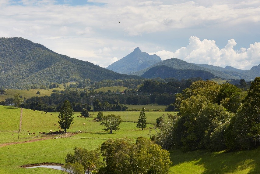 Tweed Valley landscape